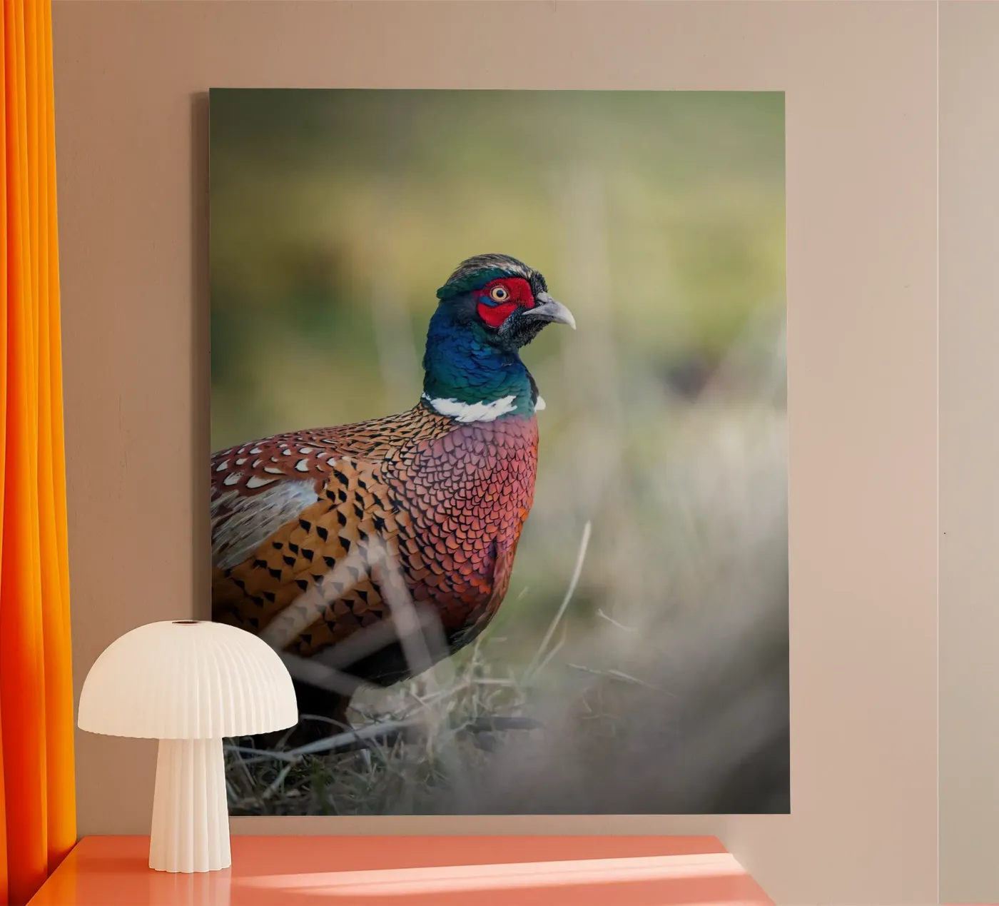 Fazant canvas van Tom's Wildlife