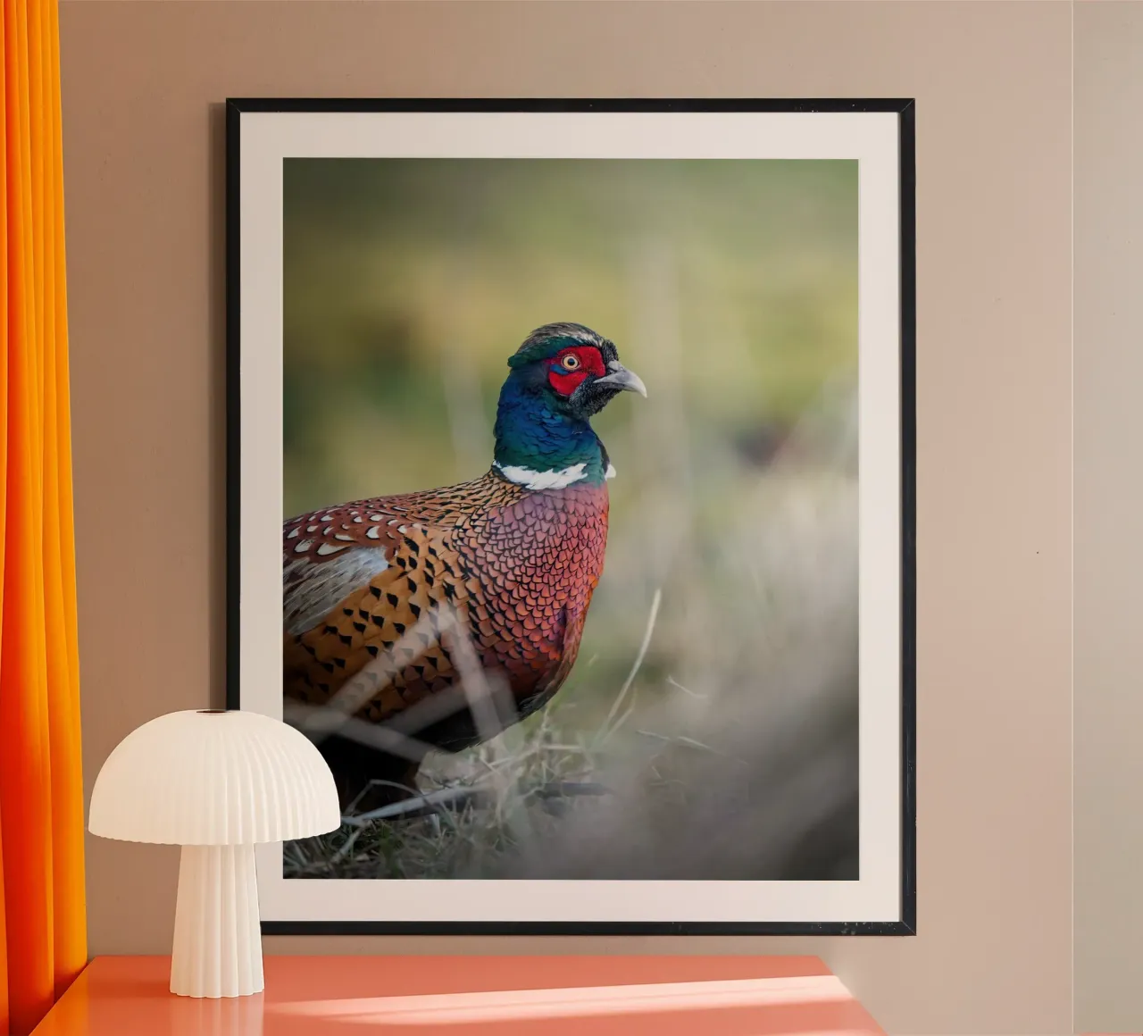 Pheasant poster by Tom's Wildlife