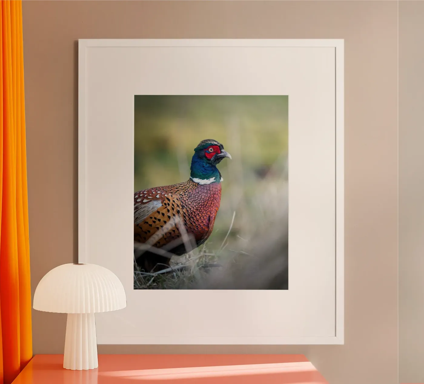 Pheasant poster da Tom's Wildlife