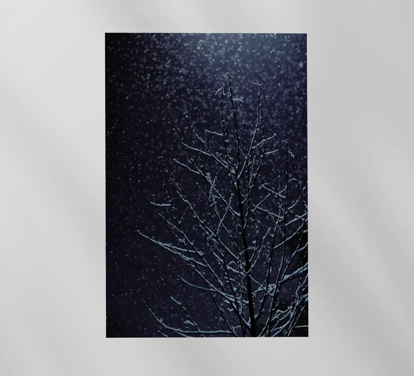 Winter pellicola backlit da Jovana Rikalo