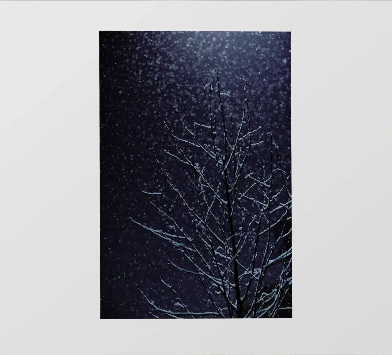 Winter pellicola backlit da Jovana Rikalo