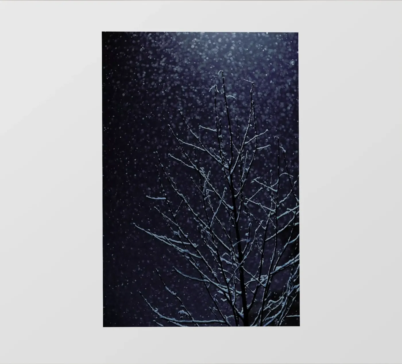 Winter pellicola backlit da Jovana Rikalo