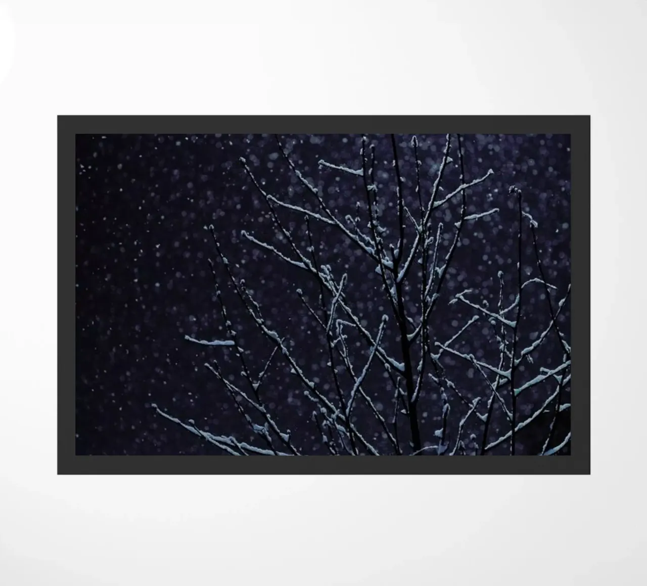 Winter zerbino da Jovana Rikalo