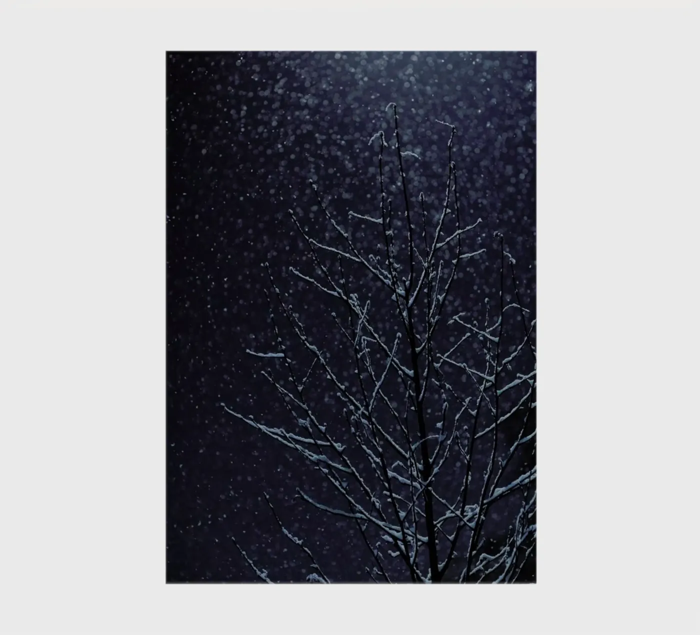 Winter notebook by Jovana Rikalo