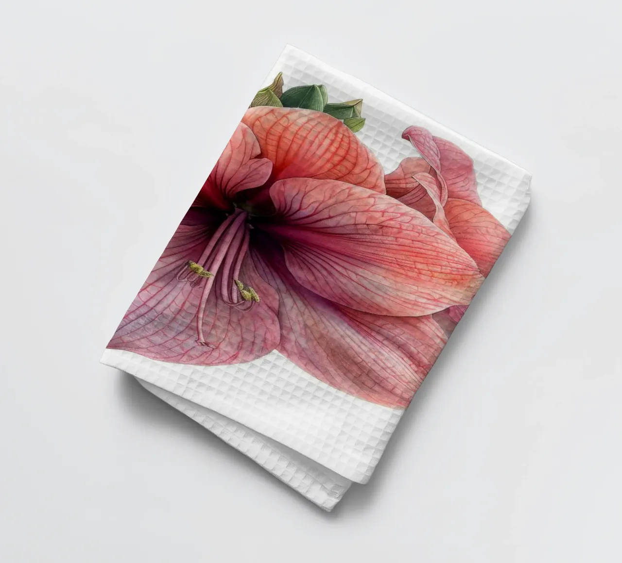 Amaryllisblüte 2 Geschirrtuch von Bold Blooms