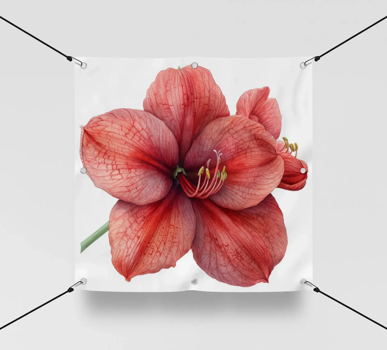 Fiore di Amaryllis 3 telo in pvc da Bold Blooms