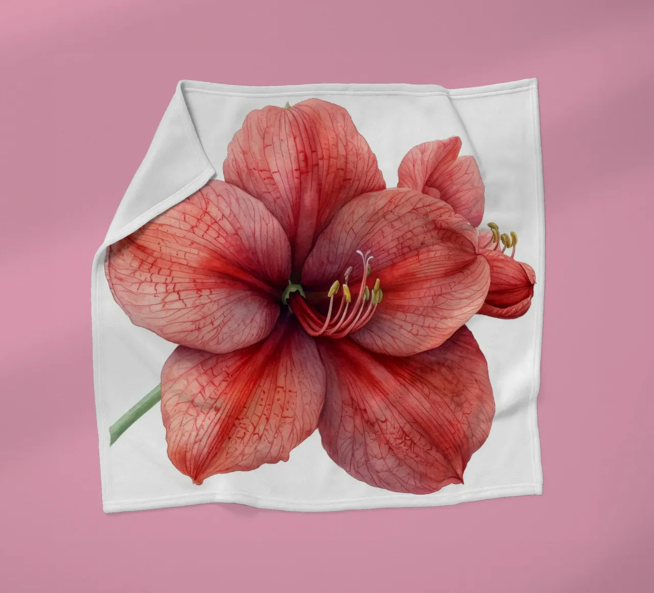 Fiore di Amaryllis 3 coperta in pile da Bold Blooms