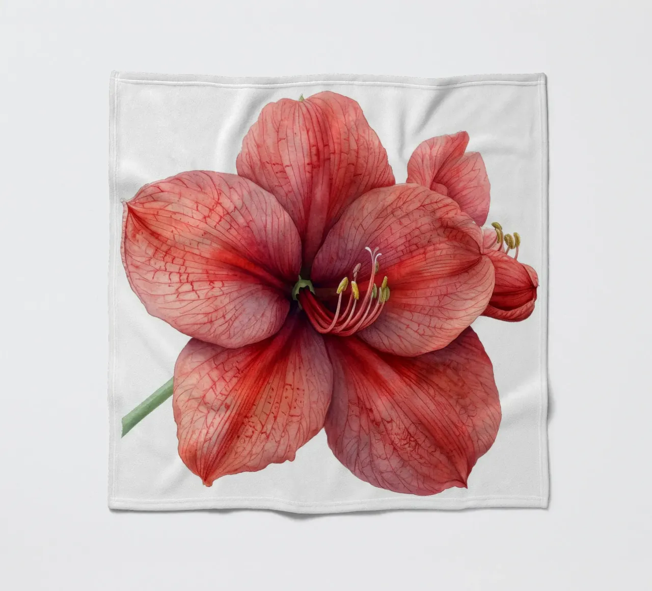 Fiore di Amaryllis 3 coperta in pile da Bold Blooms