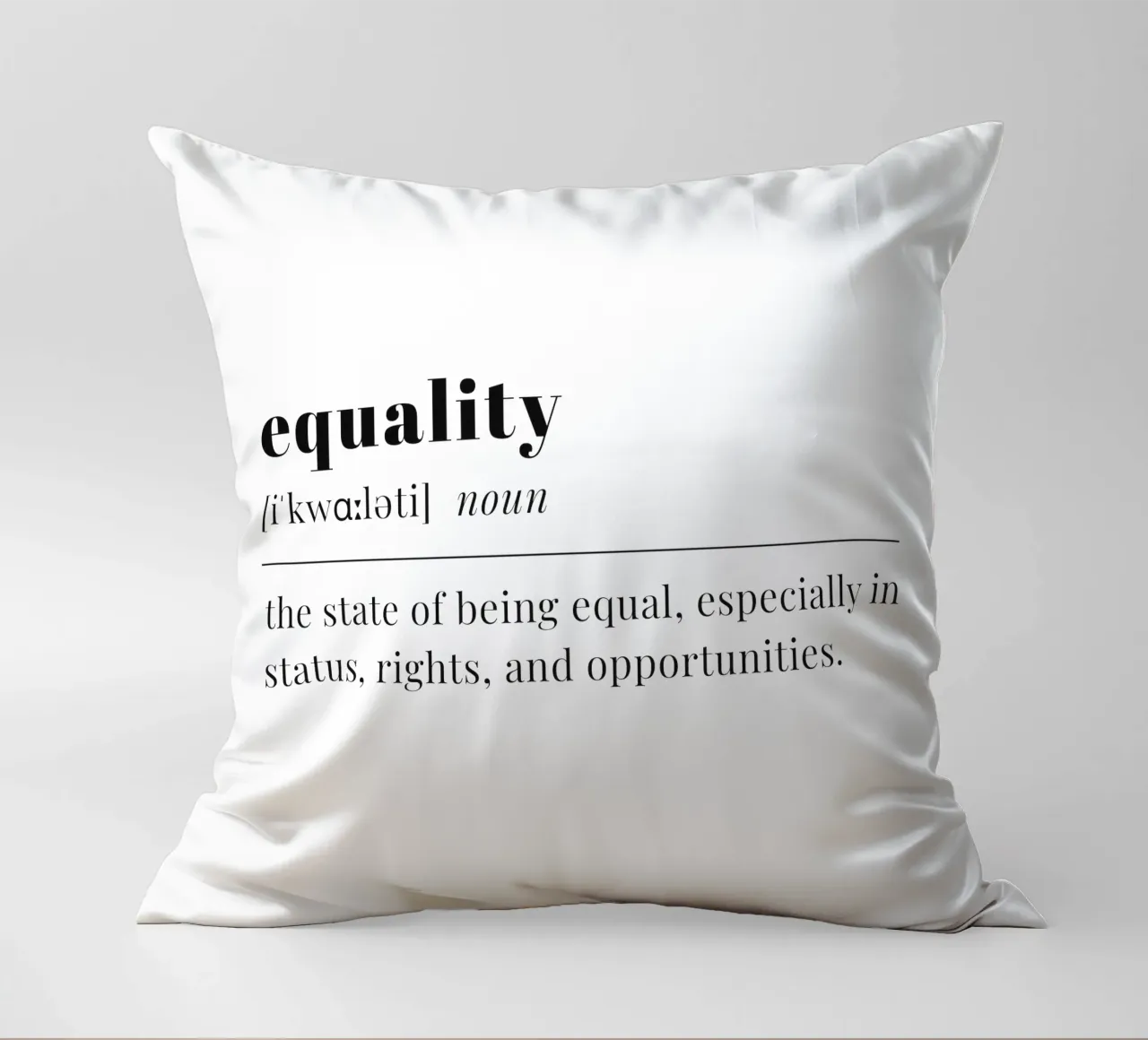 equality cuscino da pilotpegasus