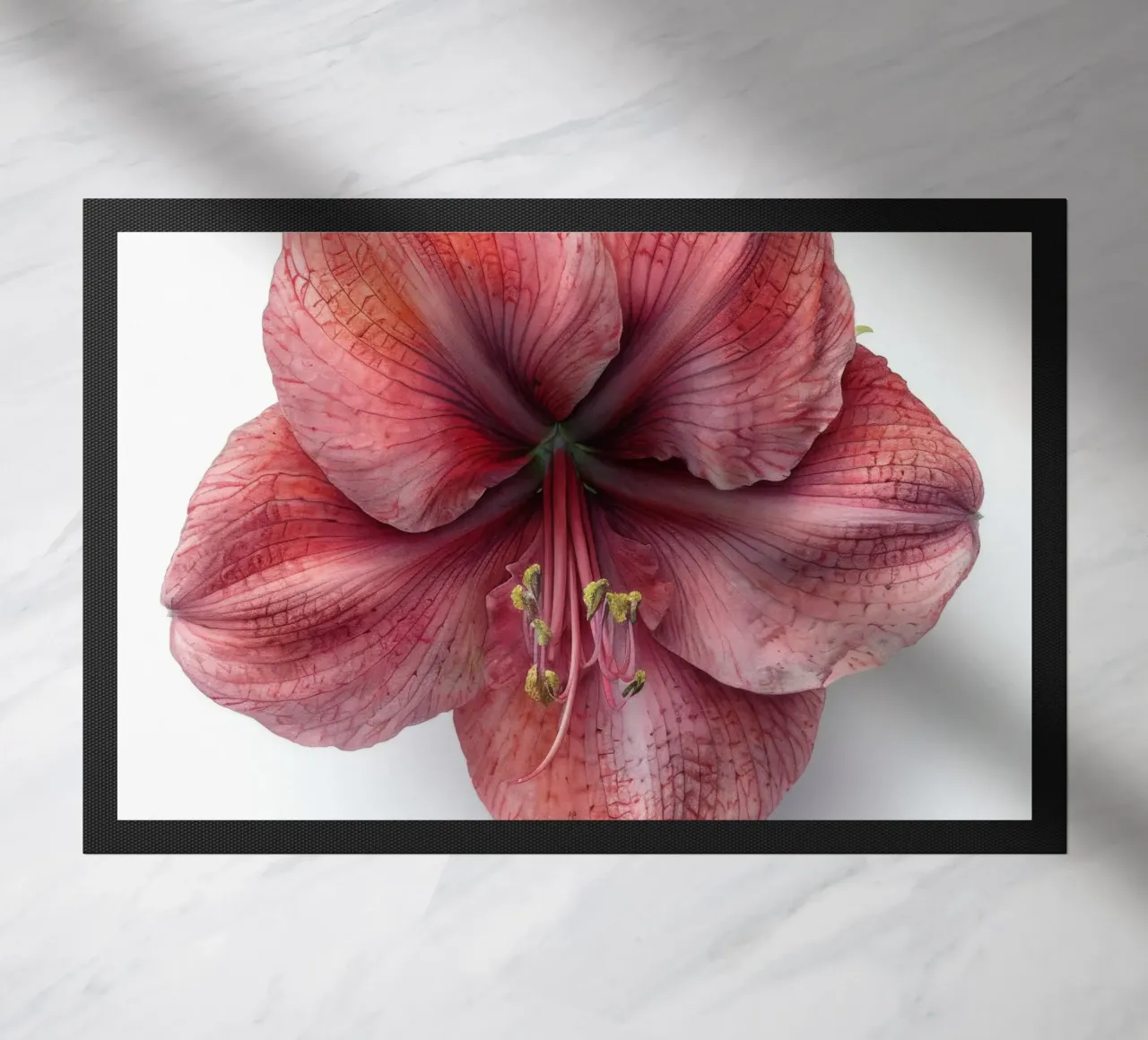 Fiore di Amaryllis 1 zerbino da Bold Blooms