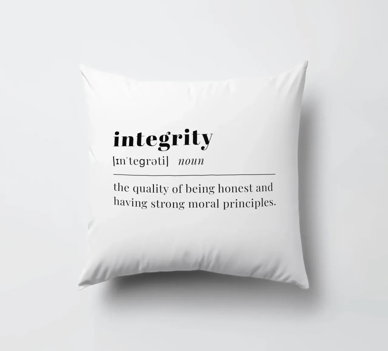 integrity cuscino da pilotpegasus