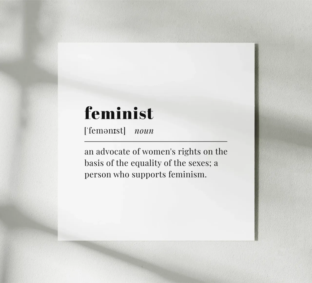 feminist plexiglass da pilotpegasus