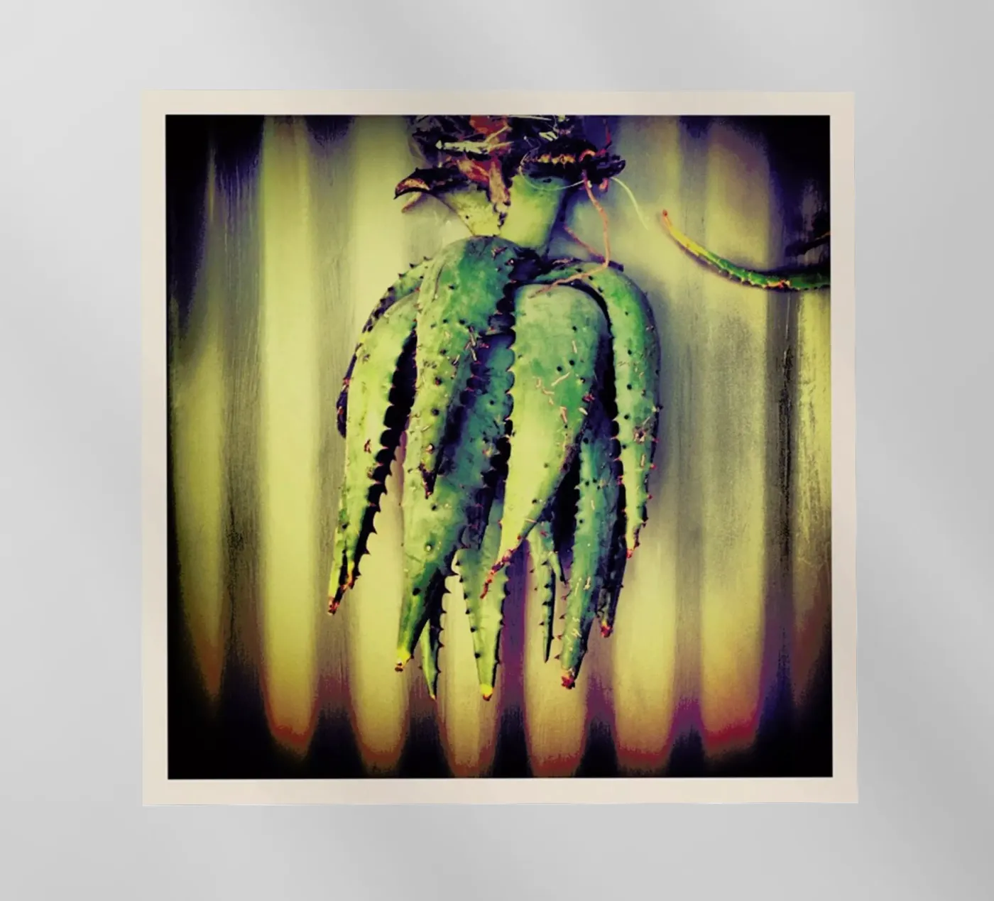 Décor pellicola backlit da Ballack Art House