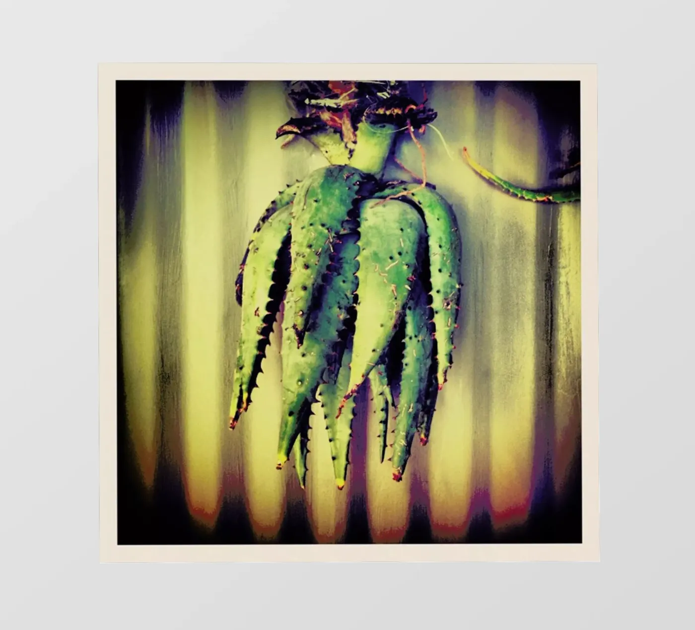 Décor pellicola backlit da Ballack Art House