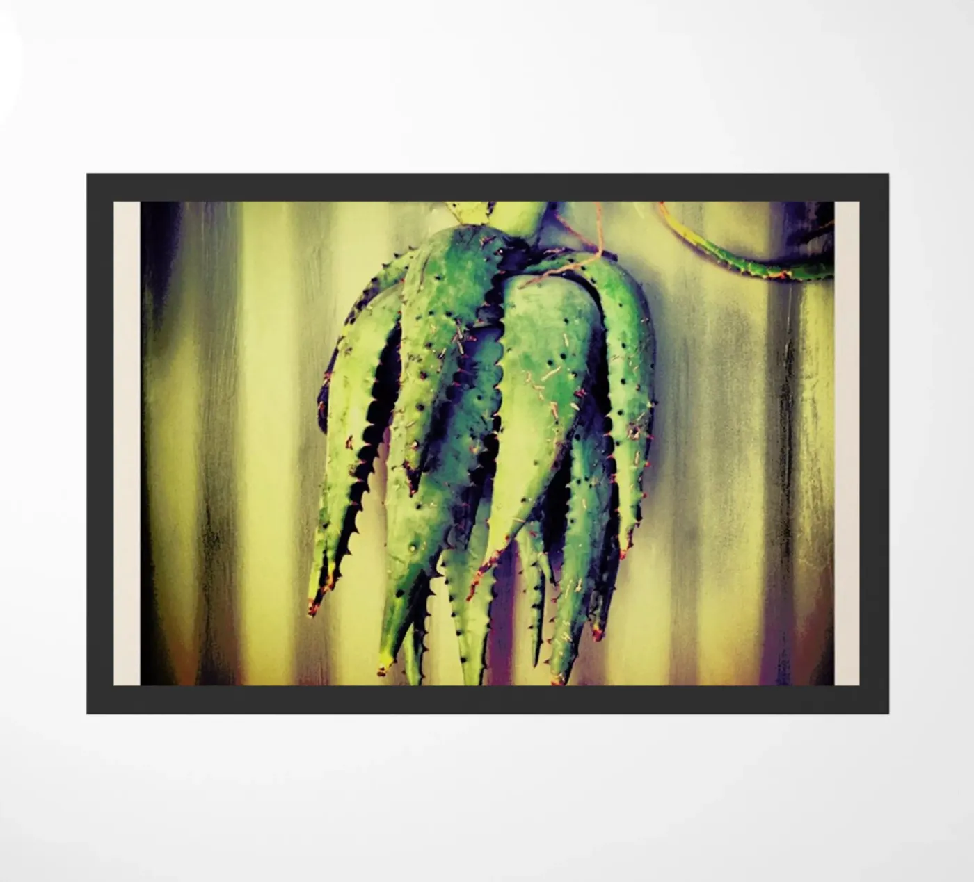 Décor zerbino da Ballack Art House