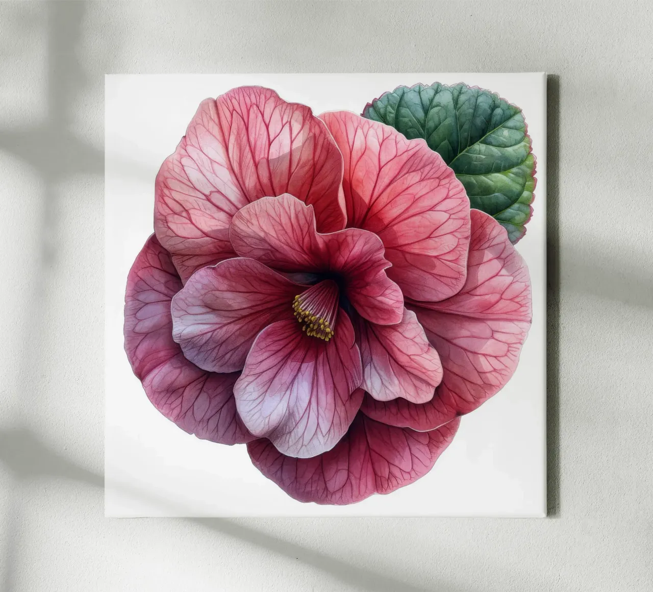 Fiore di begonia 3 tela con Cornice a cassetta da Bold Blooms