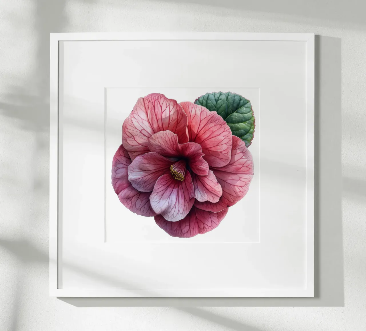 Fiore di begonia 3 carta hahnemühle da Bold Blooms