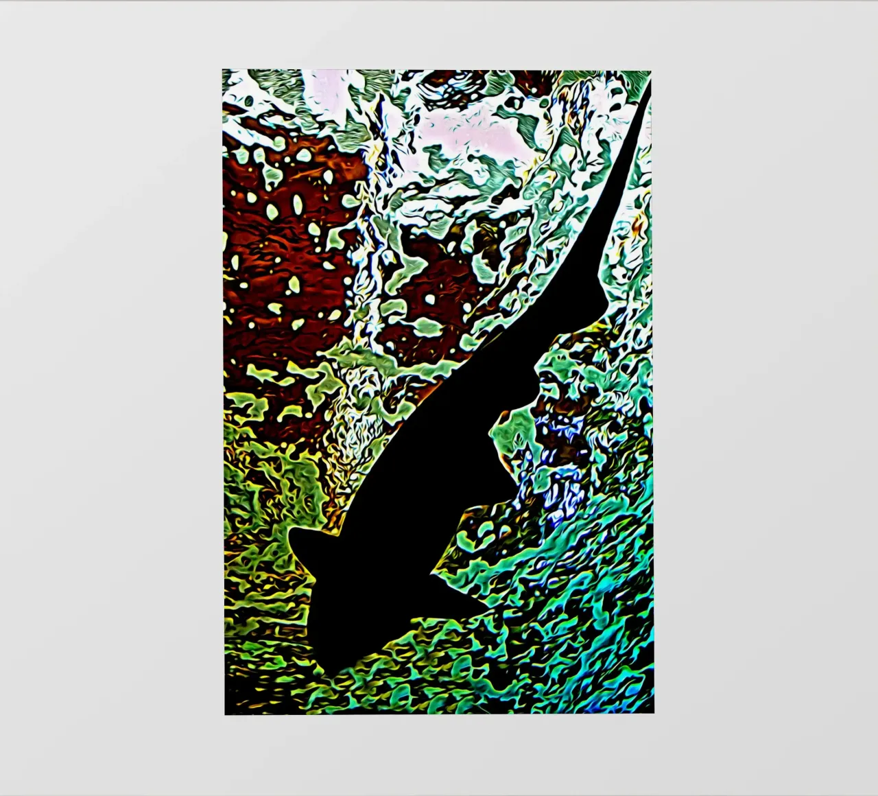 The black shark photo wallpaper by Massimo Frascogna