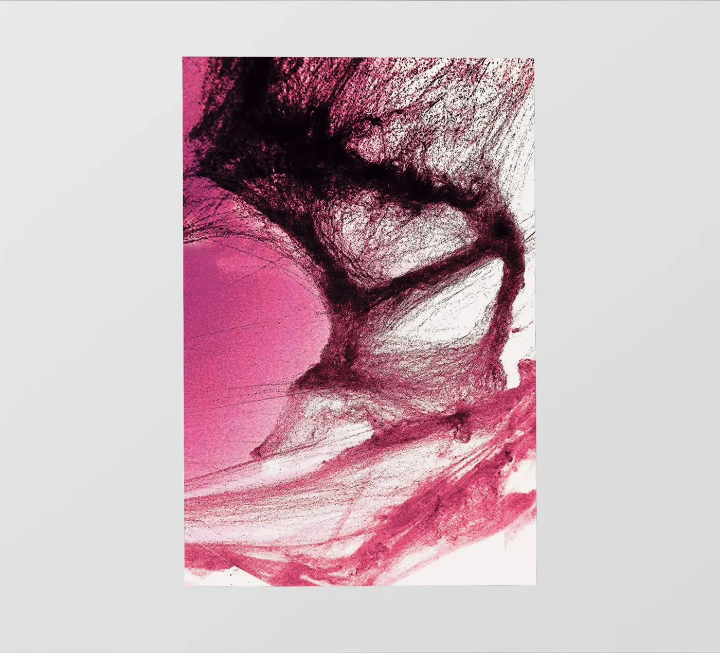 Rosa e nero pellicola backlit da Massimo Frascogna