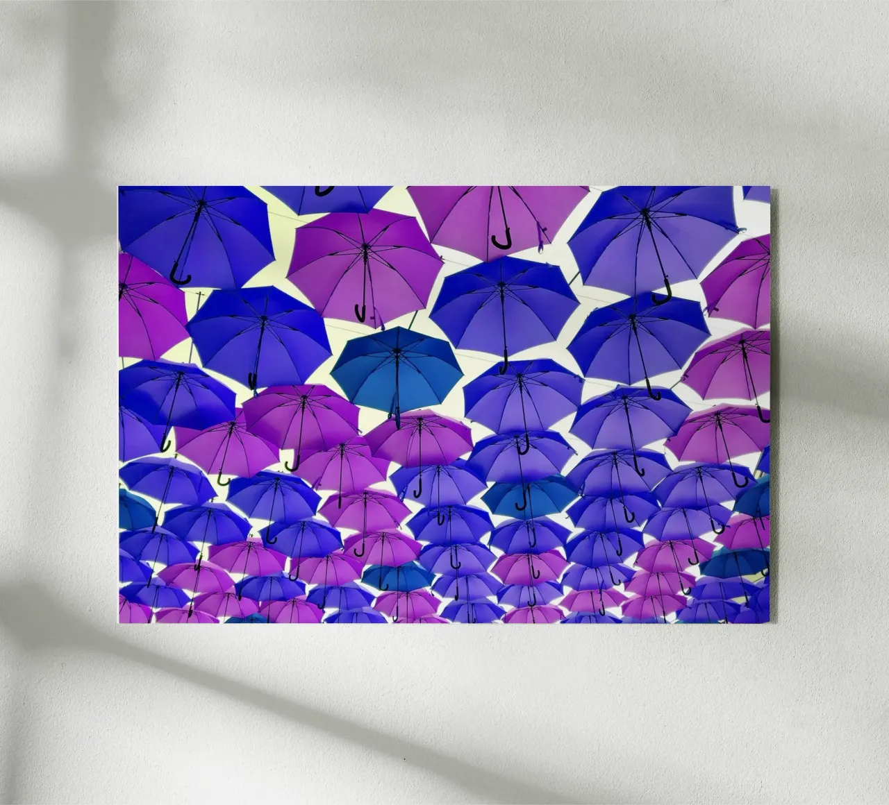 Ombrelli aperti plexiglass da Massimo Frascogna