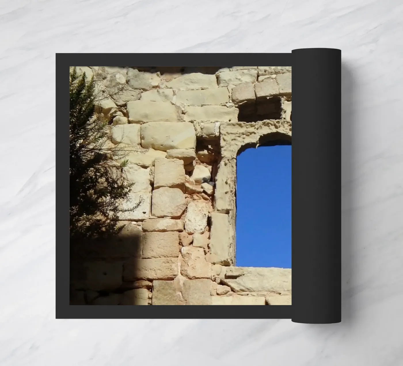 The window zerbino da Massimo Frascogna