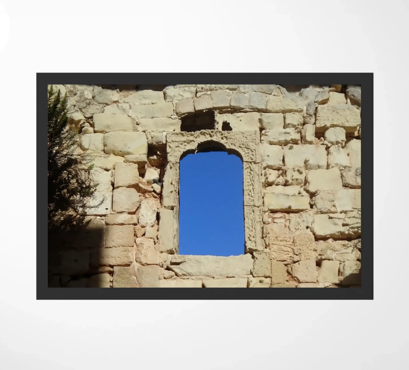 The window zerbino da Massimo Frascogna