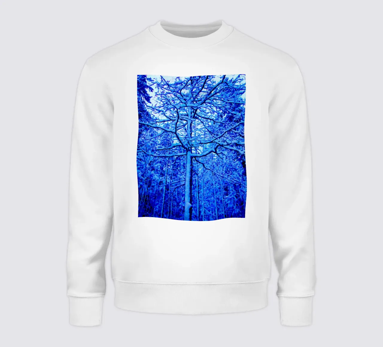 Winter tree sweatshirt by Massimo Frascogna