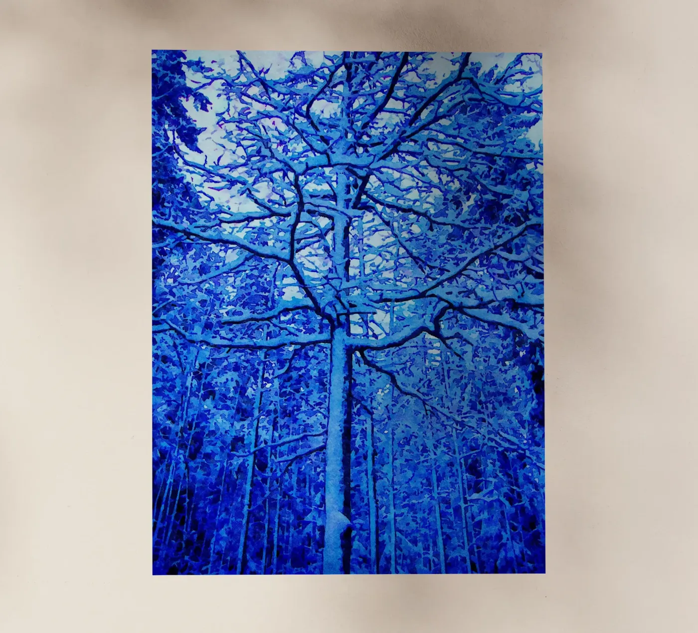 Albero invernale pellicola backlit da Massimo Frascogna