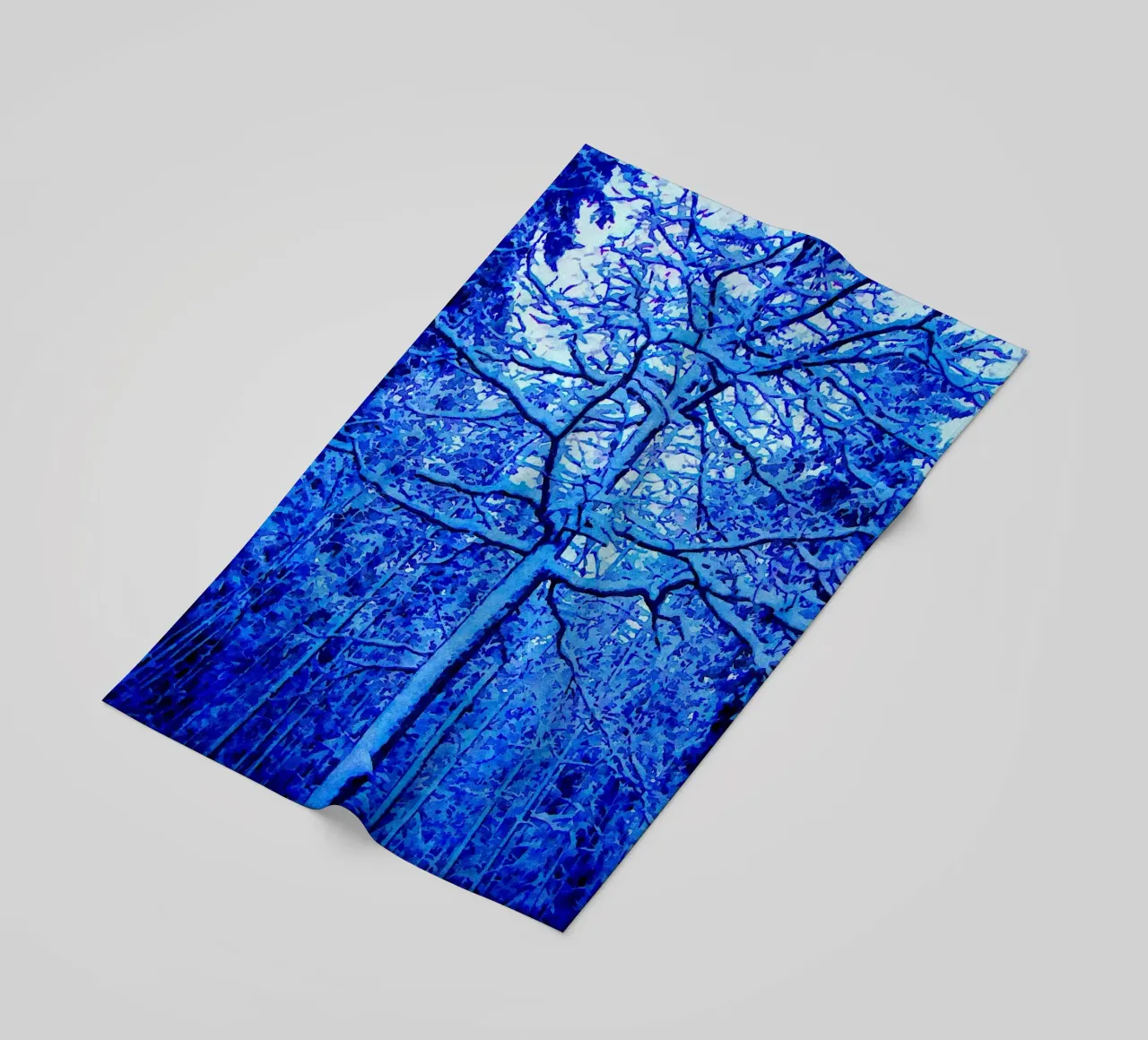 Albero invernale telo mare da Massimo Frascogna