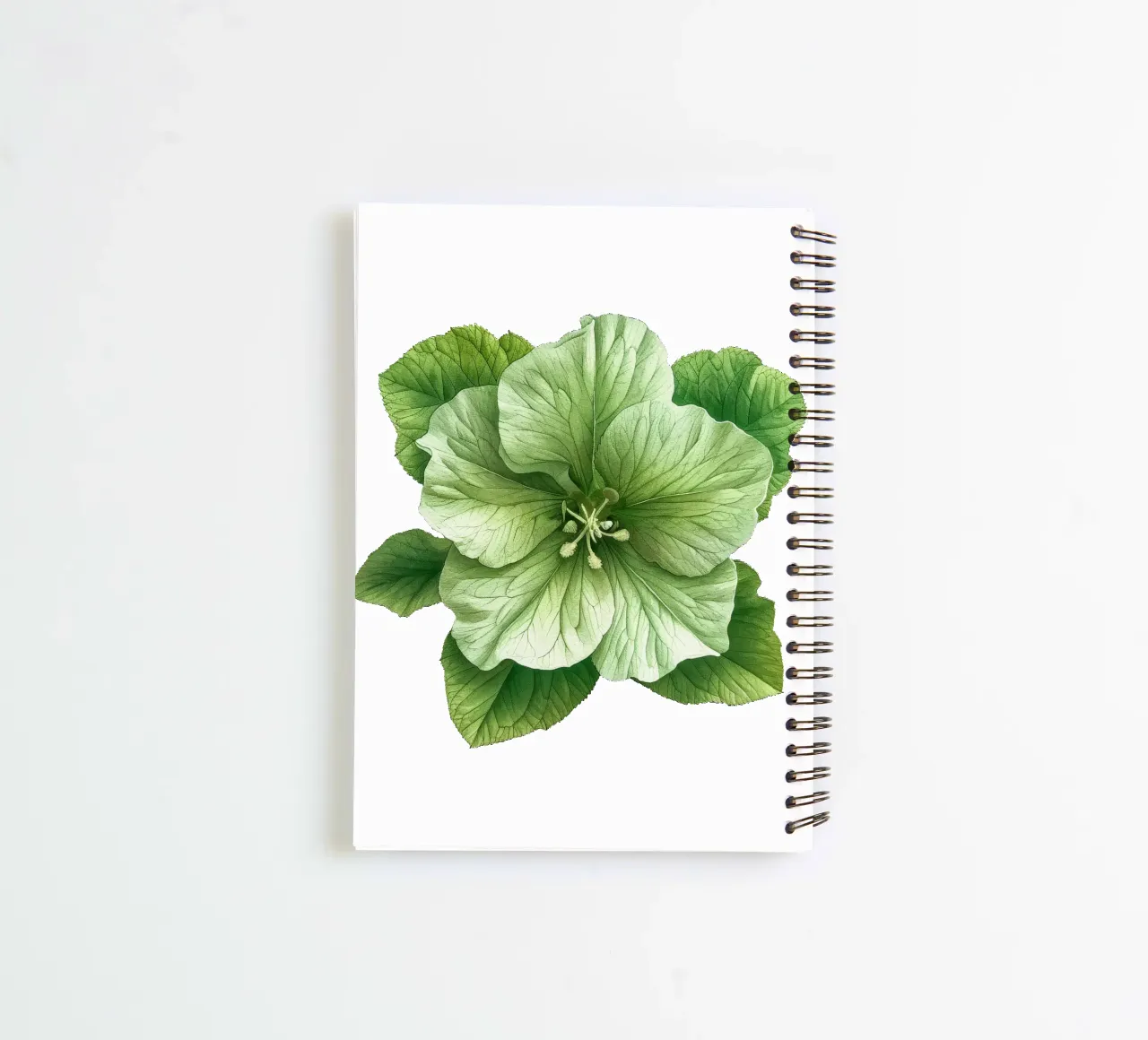 Bells of Ireland Flower 3 spiral notebook by Bold Blooms