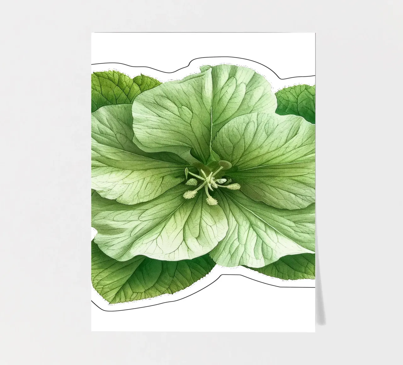 Bells of Ireland Flower 3 sticker sheet by Bold Blooms