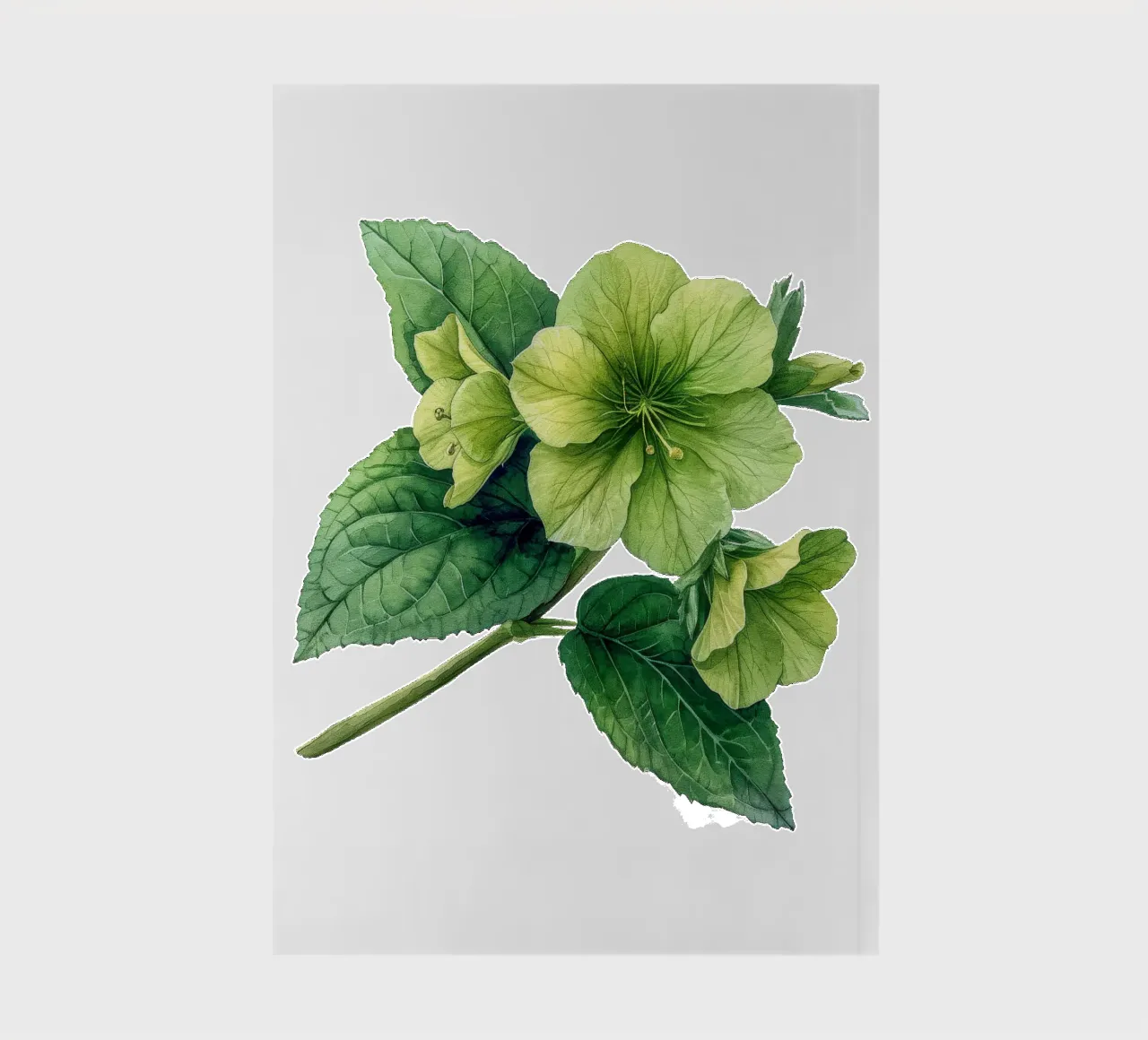 Campanas de Irlanda Flor 1 cuaderno de Bold Blooms
