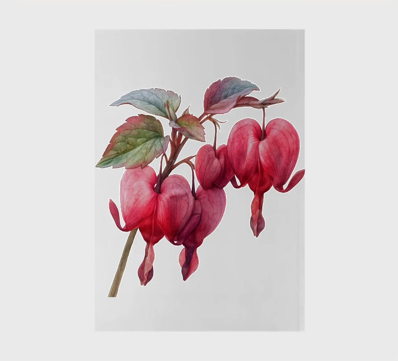 Bleeding Heart Flower 4 notebook by Bold Blooms