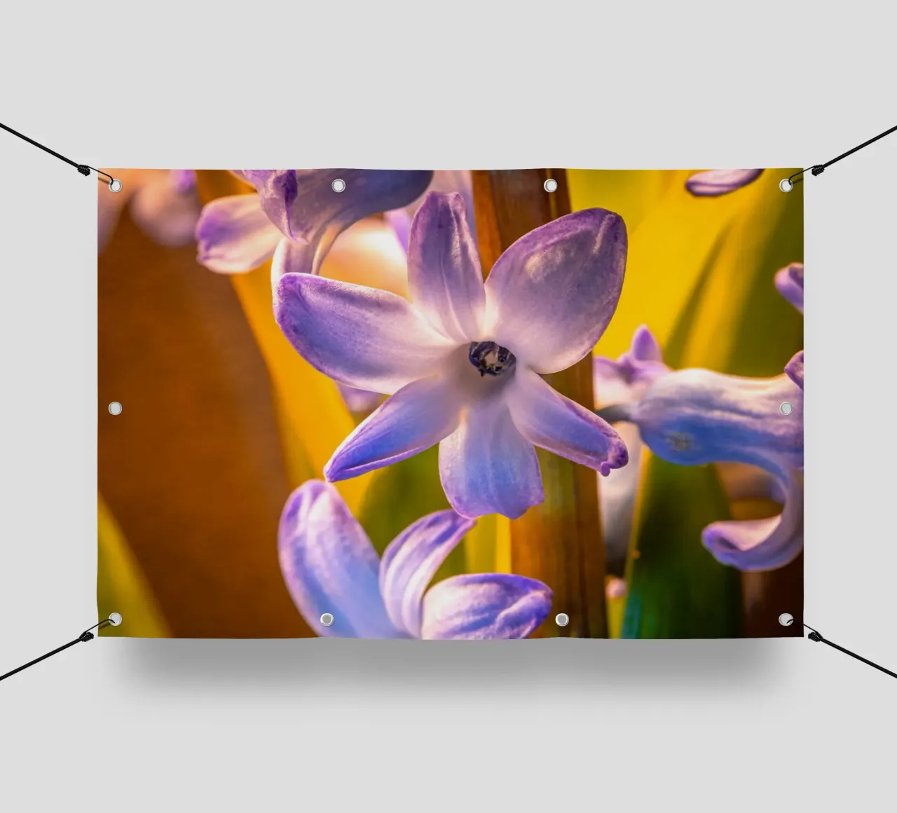 Fiore del giacinto blu telo in pvc da Marcus Beckert | Fotografie