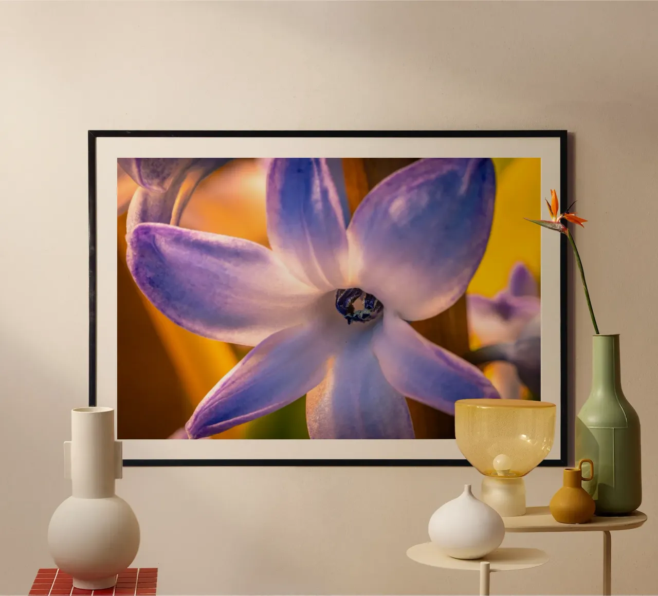 Primer plano de un jacinto azul hahnemühle de Marcus Beckert | Fotografie