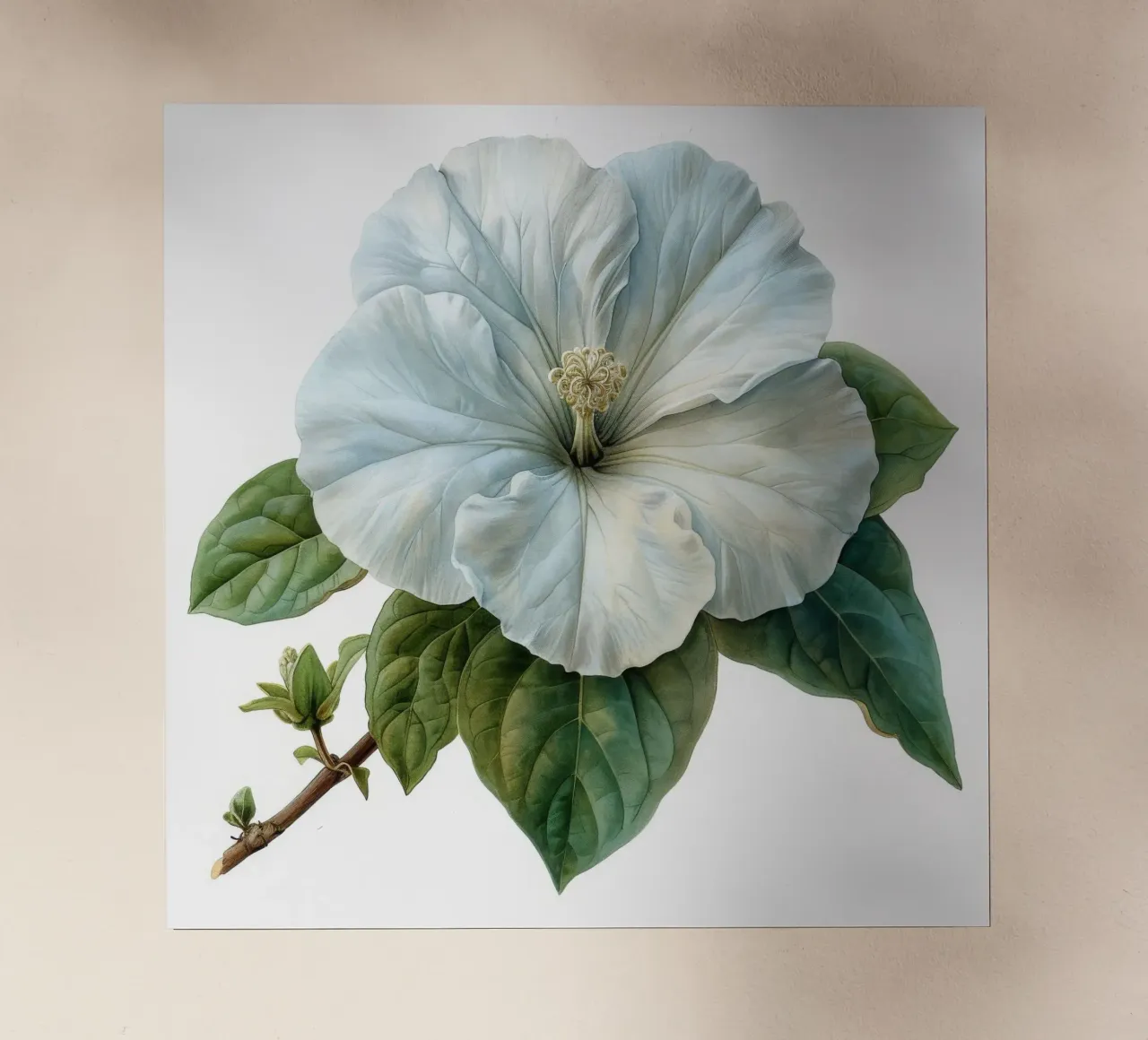 Browallia Fiore 1 pellicola backlit da Bold Blooms