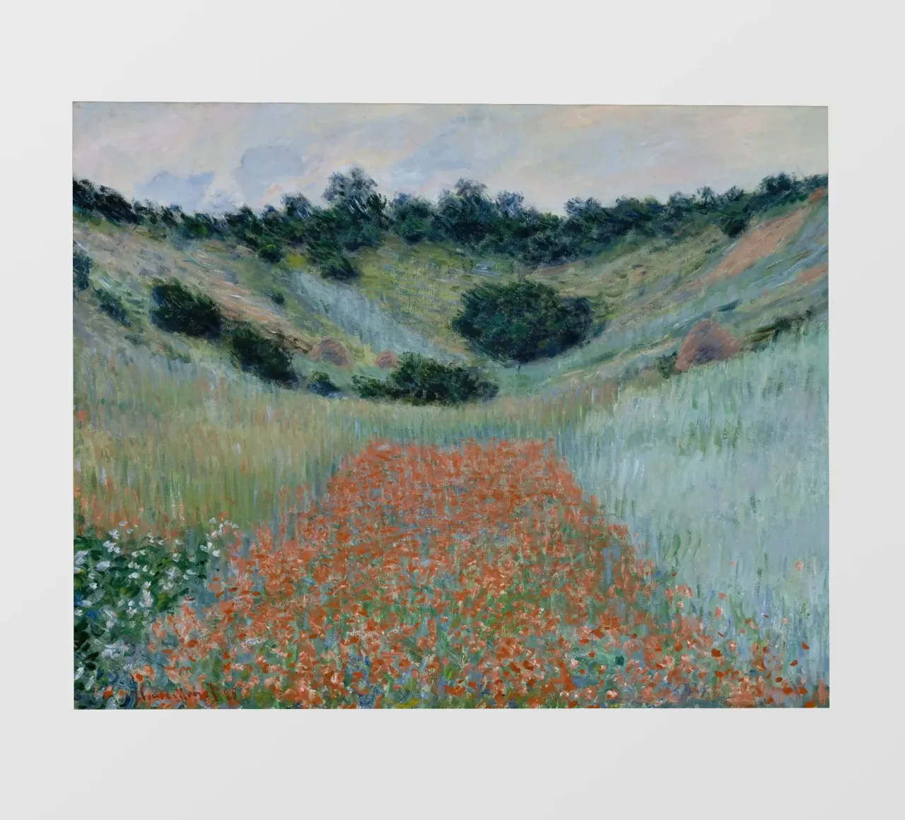 Claude Monet - Campo di papaveri in una conca vicino a Giverny pellicola backlit da Timeless Artworks