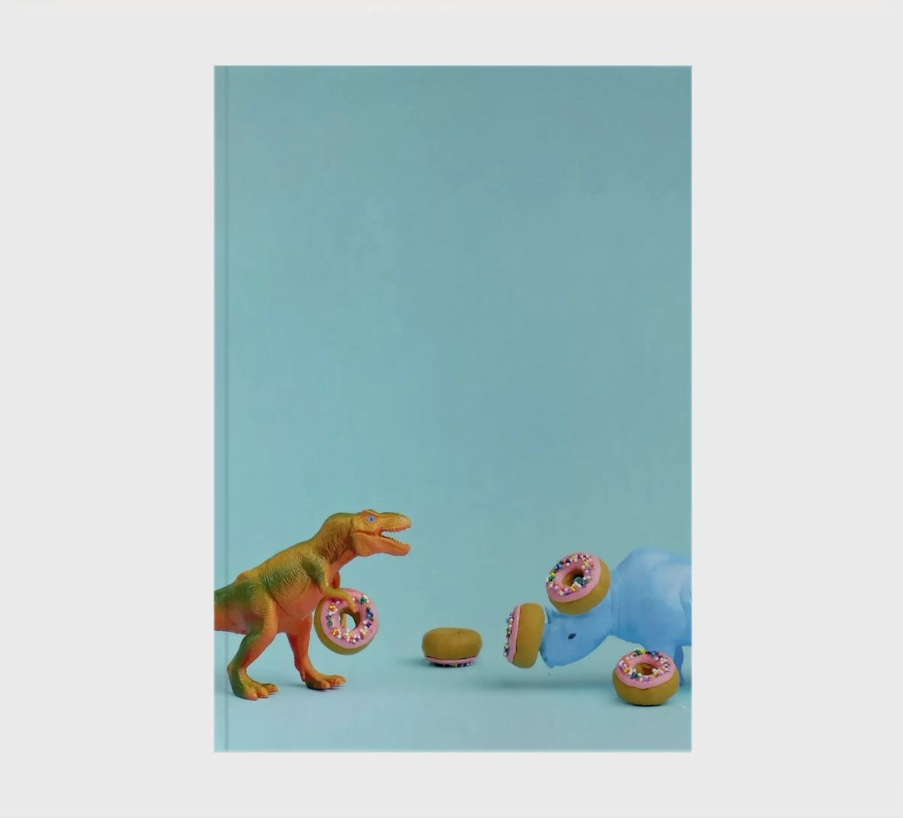 Ring Toss notebook by Juj Winn
