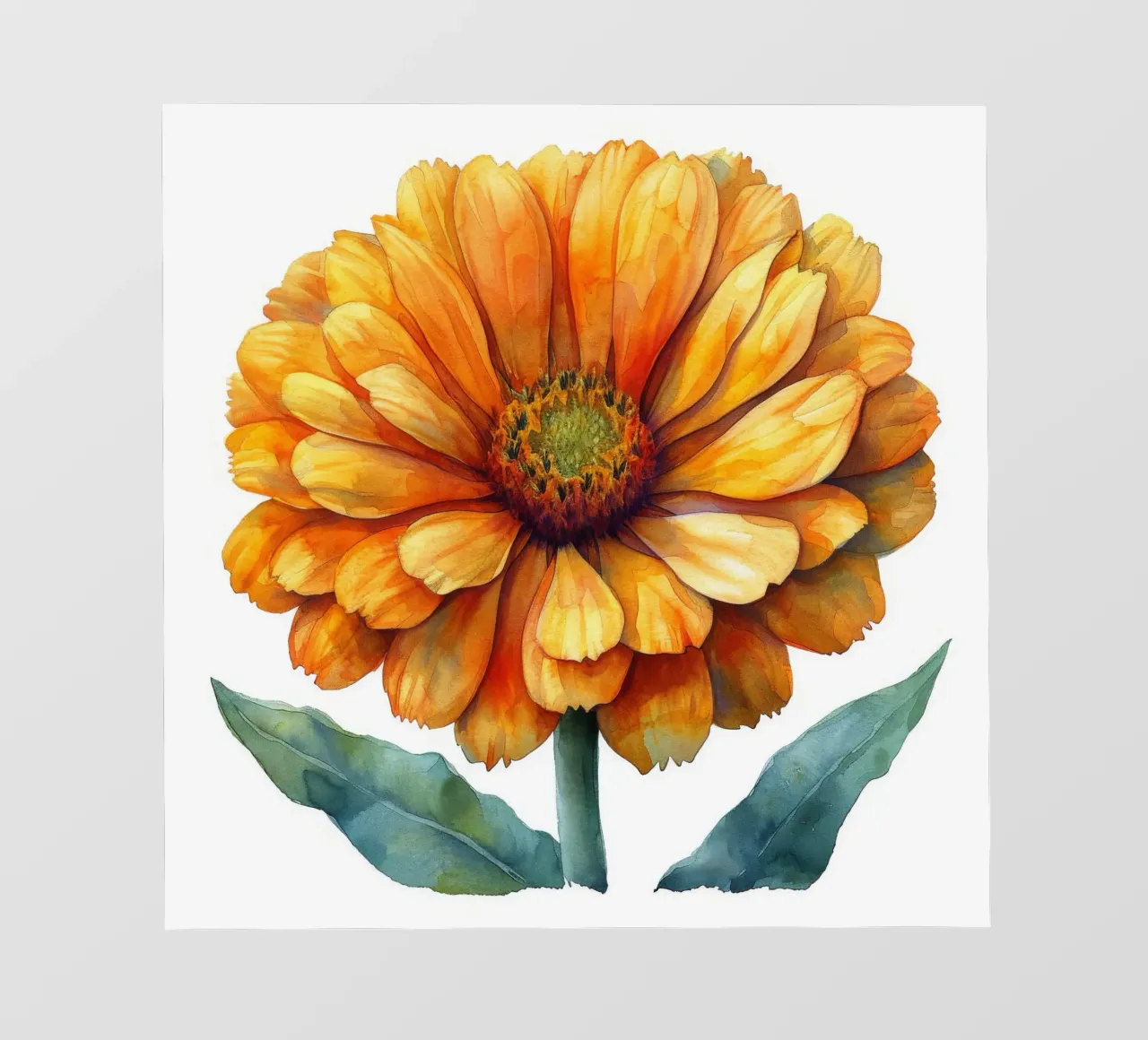 Fiore di calendula 1 telo in pvc da Bold Blooms