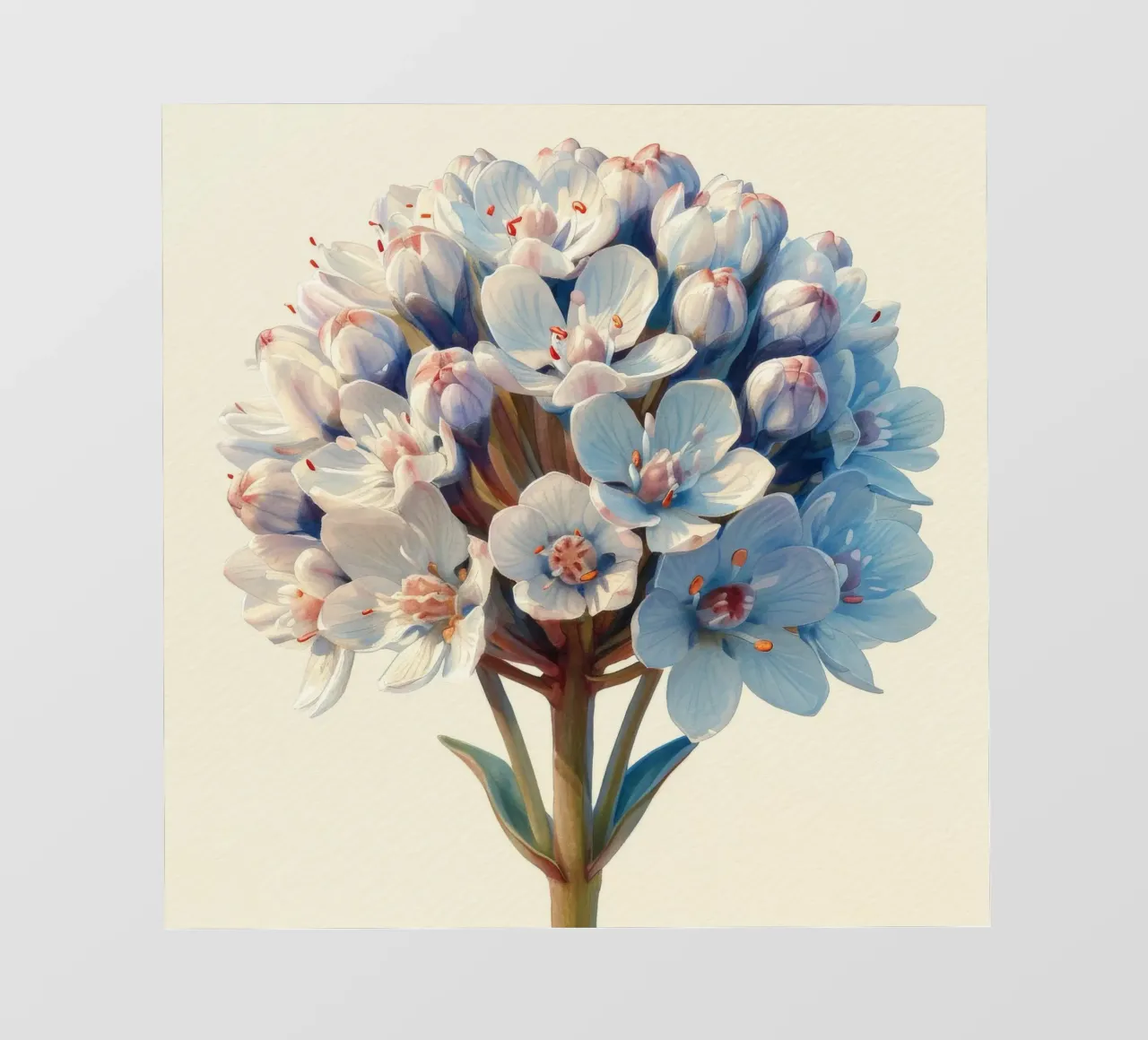 Fiore di Candytuft 2 carta da parati fotografica da Bold Blooms