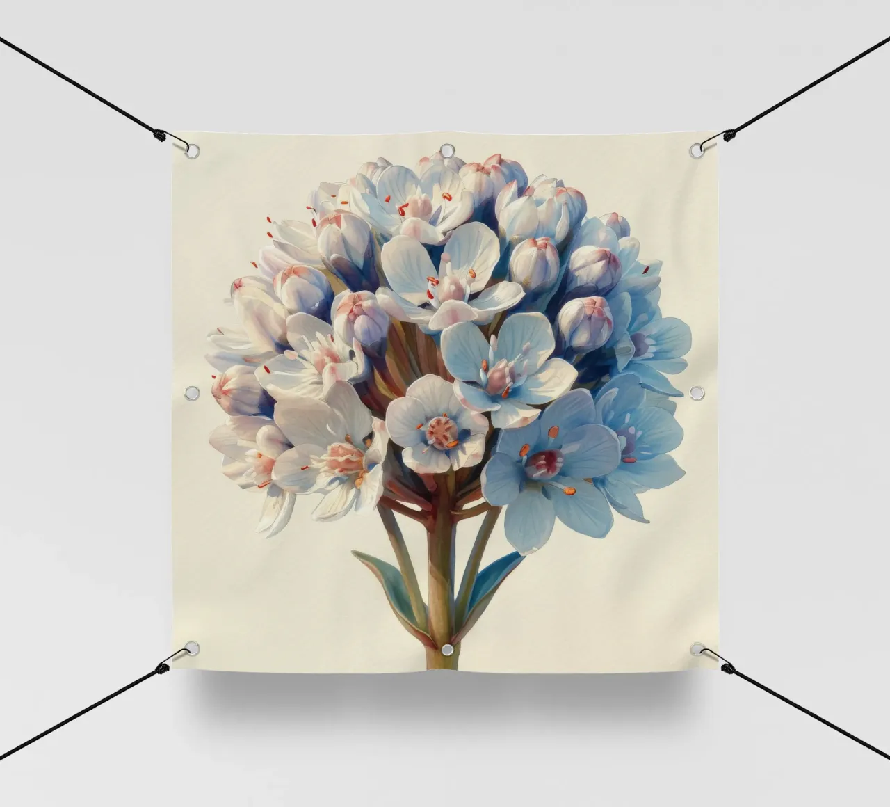 Fiore di Candytuft 2 telo in pvc da Bold Blooms