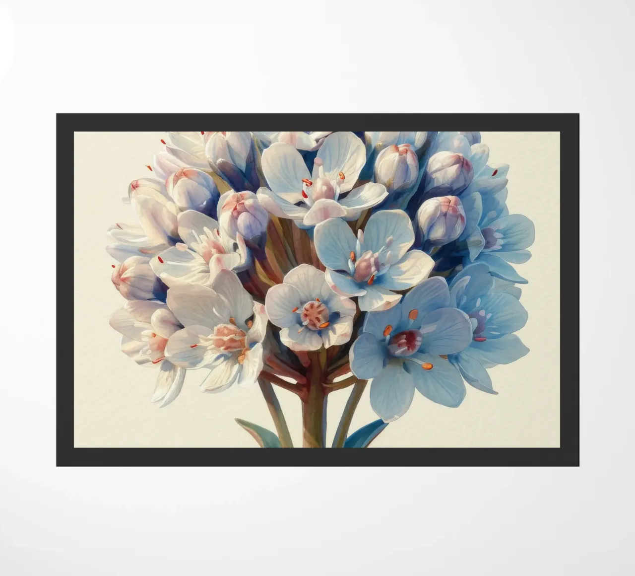Fiore di Candytuft 2 zerbino da Bold Blooms