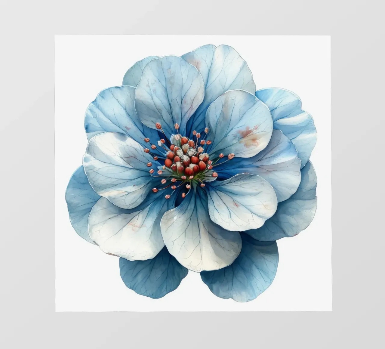 Fiore di Candytuft 1 telo in pvc da Bold Blooms