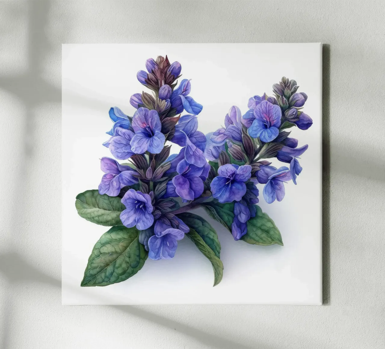Kattenkruid Bloem 2 canvas met Baklijst van Bold Blooms