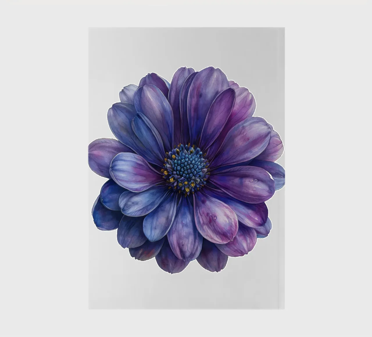 Cineraria Flower 4 notebook by Bold Blooms
