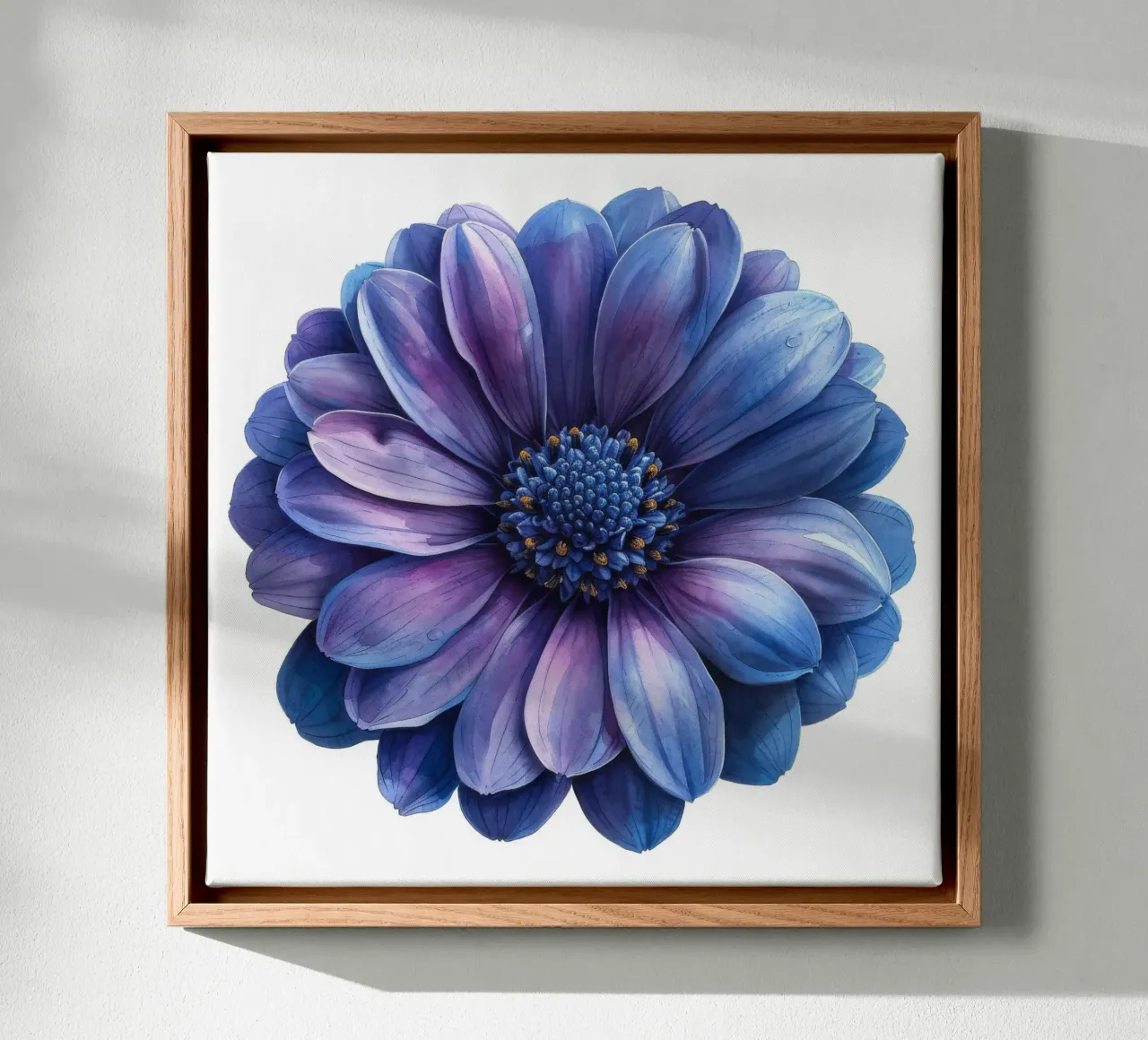Cineraria Flower 1 canvas by Bold Blooms