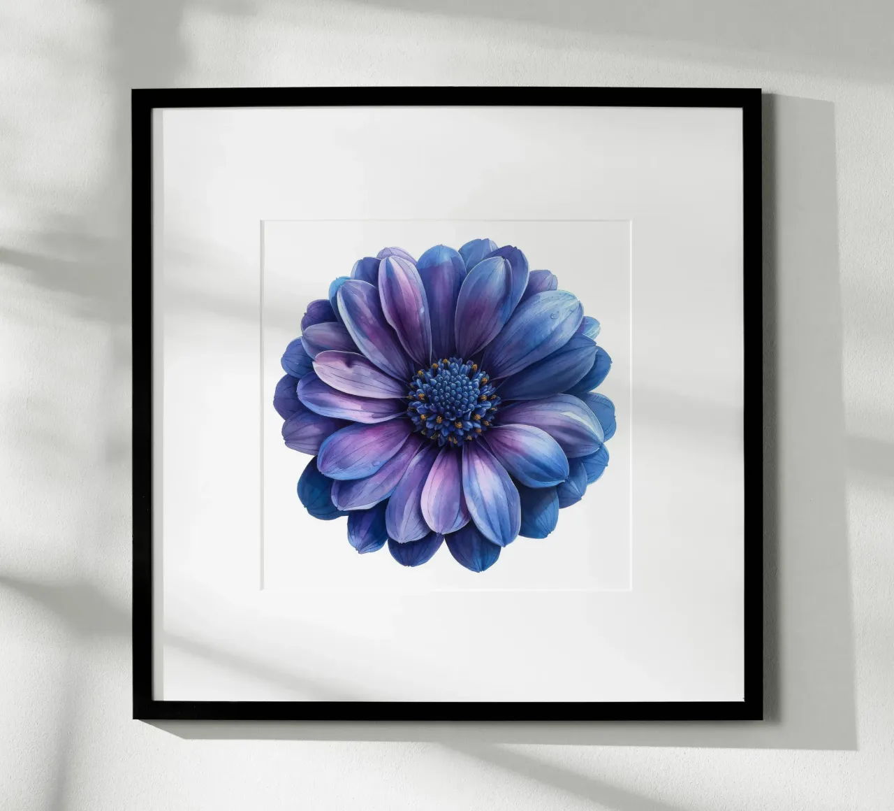 Cineraria bloem 1 hahnemühle van Bold Blooms