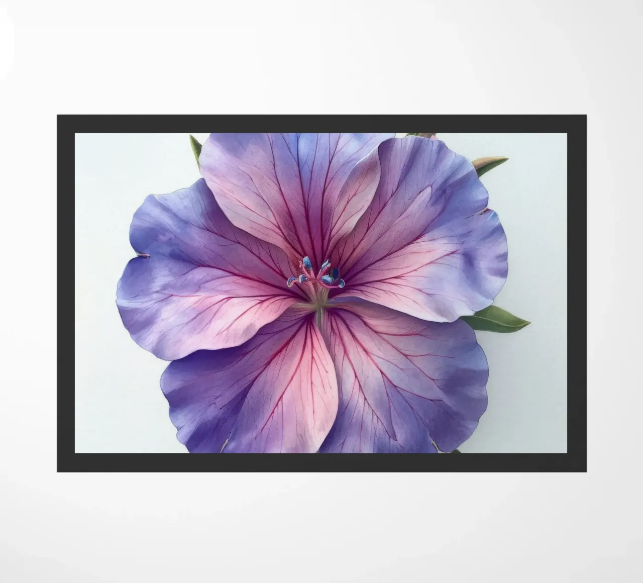 Clarkia Fiore 3 zerbino da Bold Blooms