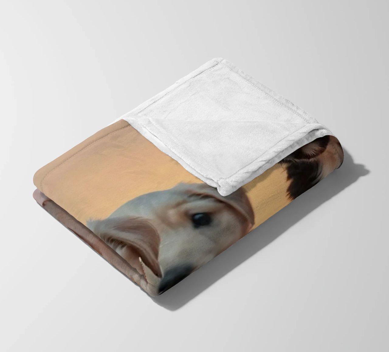 Drie speelse puppies rusten op een zachte deken in een gezellige kamer fleecedeken van DesignDoodle