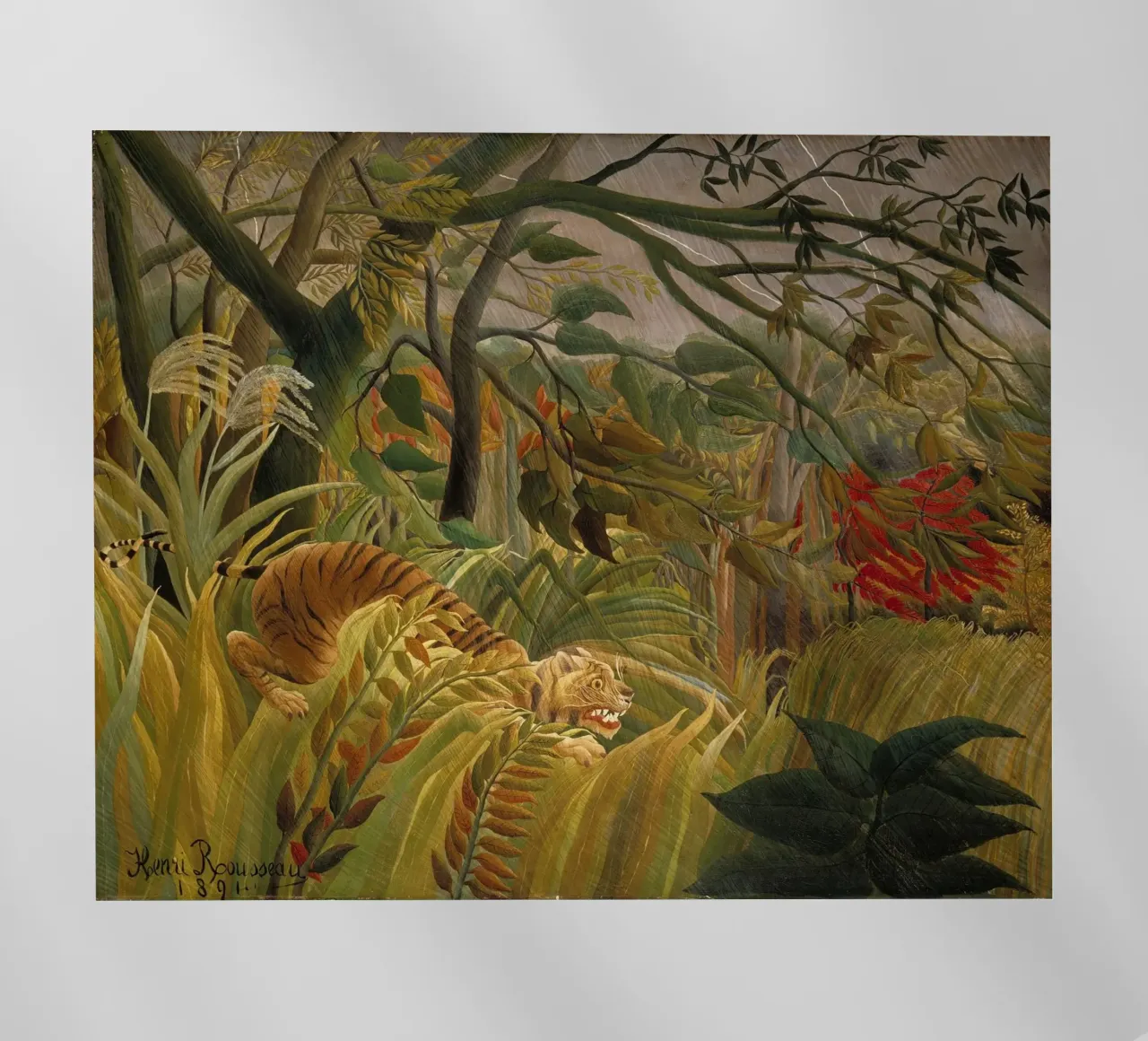 Henri Rousseau - Tigre in una tempesta tropicale pellicola backlit da Timeless Artworks